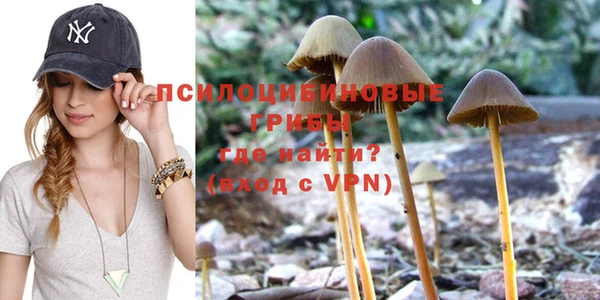 apvp Волосово